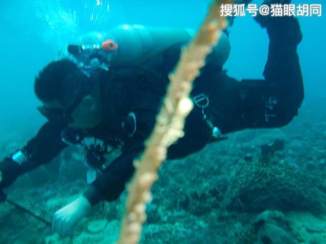 原田胜弘:《铁拳8》无障碍功能已修正